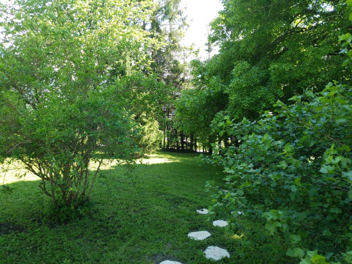 Chalet Tante Emma Vacheresse Exterior photo